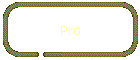 Pro